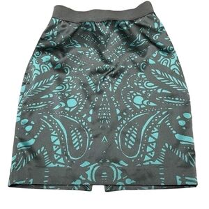 Women’s Express Skirt, Size 2, Lined, zippered Back